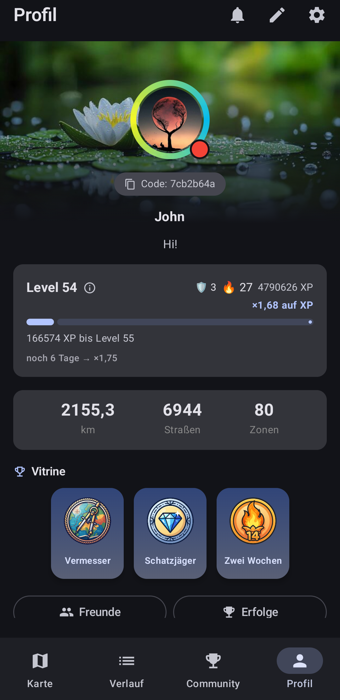 StreetPainter App-Screenshot — Profil & Level