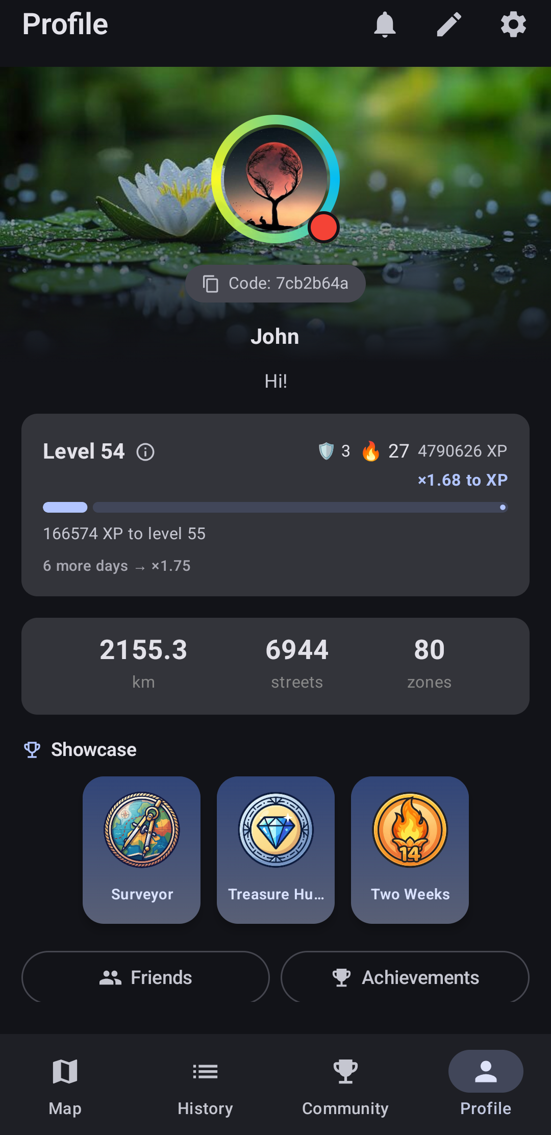 StreetPainter app screenshot — Profile & level