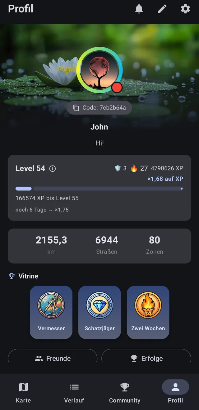 StreetPainter-Screenshot: Profil und Level